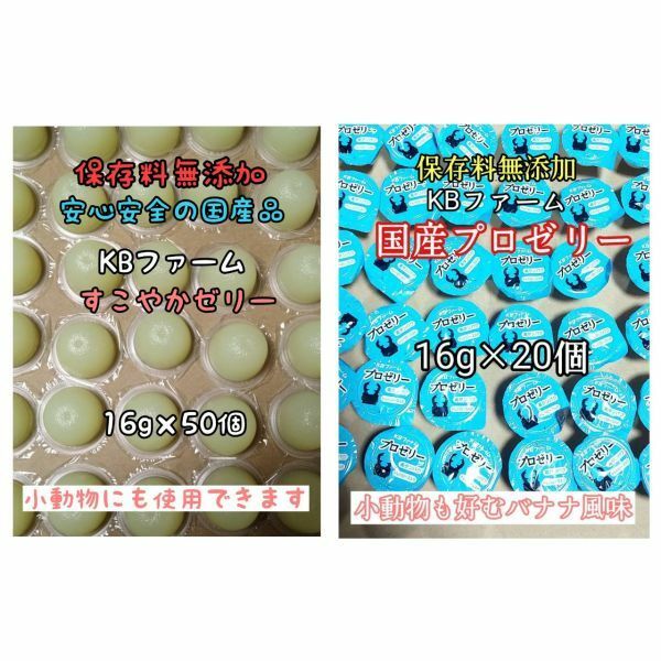 国産ゼリー KBファーム すこやかゼリー 16g 50個 プロゼリー 16g 20個 カブトムシ クワガタ 昆虫