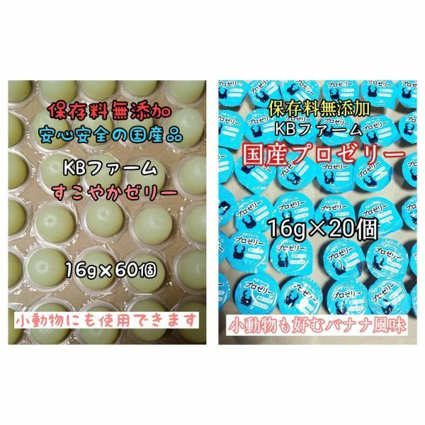 国産ゼリー KBファーム すこやかゼリー 16g 60個 プロゼリー 16g 20個 カブトムシ クワガタ 昆虫