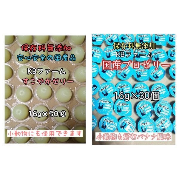 国産ゼリー KBファーム すこやかゼリー 16g 50個 プロゼリー 16g 30個 カブトムシ クワガタ 昆虫
