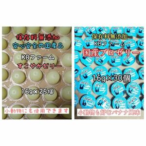 国産ゼリー KBファーム すこやかゼリー 16g 25個 プロゼリー 16g 30個 カブトムシ クワガタ 昆虫