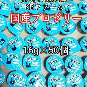 KBファーム 国産プロゼリー16g 50個 カブトムシ クワガタ 昆虫