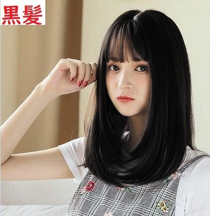 送料無料 セミロング ブラック 黒髪 黒色 ウィッグ 黒 かつら ナチュラル 普段使い No.823 D