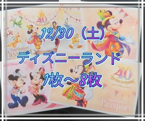 12/30（土）ディズニーランド チケット1枚〜8枚 1デーパスポート1枚〜8枚有★絵柄選択可（期限24年6月末以降）