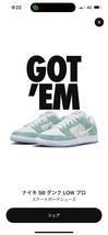 28cm APRIL SKATEBOARDS Nike SB Dunk Low Pro QS_画像1