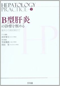 [A11389700]B型肝炎の診療を極める―基本から最前線まで (Hepatology Practice) [単行本] 榮司，田中