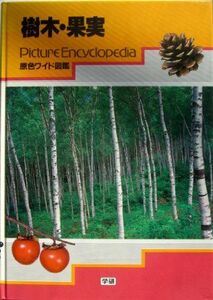 [A11213938] tree * fruits (. color wide illustrated reference book )...