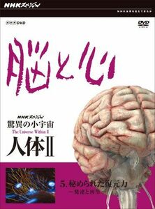 [A11290706]NHKスペシャル 驚異の小宇宙 人体II 脳と心 第5集 秘められた復元力~発達と再生~ [DVD] [DVD]