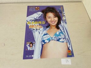 ゲーム　販促　チラシ　ポスター など 鈴木紗理奈 薔薇DOLL SAKA35