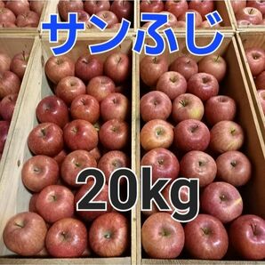 サン ふじ 20kg 家庭用 青森 りんご
