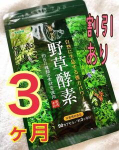 最安☆ 訳アリ 野草酵素 サプリメント ダイエット 美容 健康 野菜不足に サプリ 青汁