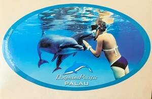 ♪♪★ PALAU ★ Dorphin＆Pacific ★ ADVANCE ★ DACOR ★ SeaVision ★ SCUBA DIVING ★ ステッカー ★ ４枚 ★ 新品・未使用 ★♪♪