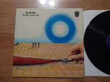 ★LE ORME ★VERITA' NASCOSTE★中古LP★イタリア盤_画像2