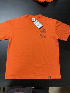 【送料無料】ナイキ ACG NRG　トロール Tシャツ　Mサイズ オレンジ