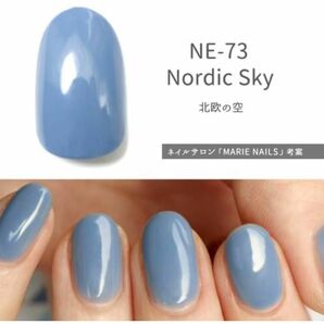 HOMEI ホーメイ　ウィークリージェル　ジェルネイル　NE-73 Nordic Sky