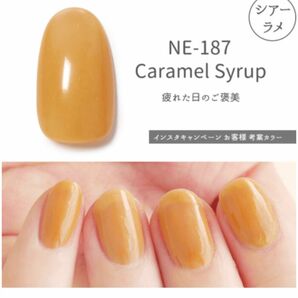 HOMEI ホーメイ　ウィークリージェル　ジェルネイルNE-187 Caramel Syrup