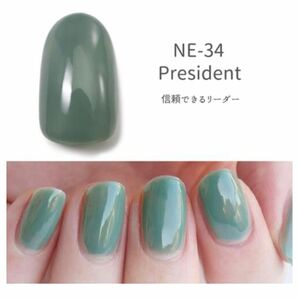 HOMEI ホーメイ　ウィークリージェル　ジェルネイル　NE-34 President