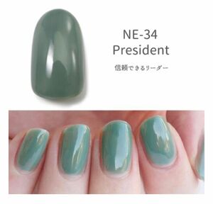 HOMEI ホーメイ　ウィークリージェル　ジェルネイル　NE-34 President