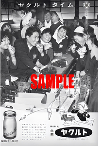 ■1028 昭和34年(1959)のレトロ広告 ヤクルト 発酵乳 毎日配達小瓶6円