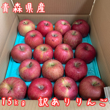 青森りんご訳ありサンふじ15キロ前後モールド詰め1円～ 発送は、1月5日頃となります。_画像1