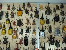 当時物　レトロ　クワガタ　カブトムシ　昆虫　フィギュア　おもちゃ　玩具　ヴィンテージ　飾り物　置物　虫　ジャンク　P_画像6