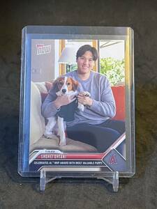 2023 TOPPS NOW 大谷翔平・愛犬 CELEBRATE AL MVP AWARD WITH MOST VALUABLE PUPPY OS-19 デコピン DICOY