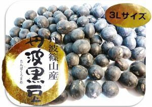 丹波黒豆 200g×3袋 豆力 兵庫県篠山産 特大粒3L 丹波黒大豆 たんばくろまめ 丹波黒豆 国産 国内産 黒豆 丹波黒 乾燥豆 生豆 業務用