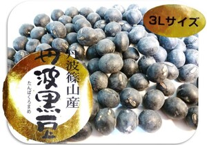 丹波黒豆 200g 豆力 兵庫県篠山産 特大粒3L （メール便）丹波黒大豆 たんばくろまめ 丹波黒豆 国産 国内産 黒豆 丹波黒 乾燥豆 生豆 業務用