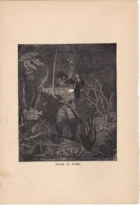 1880年代　アンティークプリント　イギリス　潜水士　ダイビング　海底　クラゲ　ジェリーフィッシュ　サンゴ　魚類　ヒトデ
