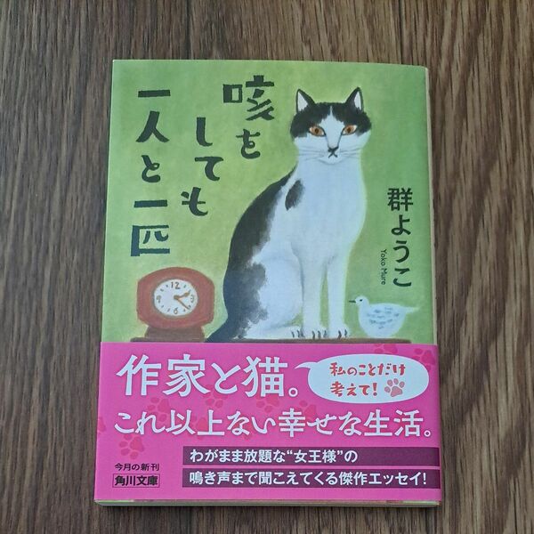 咳をしても一人と一匹 （角川文庫　む５－３１） 群ようこ／〔著〕