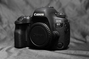 EOS 6D mark2 ボディ ショット数14,000（元箱、純正ストラップ、互換バッテリーx3、USBバッテリーアダプタ、L字ブラケット付き）