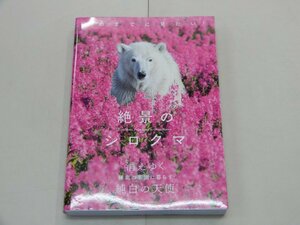 死ぬまでに見たい！ 絶景のシロクマ　写真集