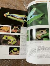 (新品同様美品) 爬虫類・両生類800種図鑑 初版 監修:千石正一 出版社ピーシーズ_画像8