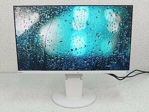 ■※ 【ウィンターセール開催中】 EIZO 23.8型液晶モニター EV2450 VGA/DVI/DisplayPort/HDMI フルHD IPSパネル 映像確認