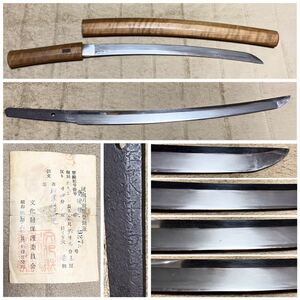 脇差　和泉守兼定　在銘　白鞘入り　砥ぎの練習に　登録証付　長さ約39.2cm　日本刀　武具　幕末　刀剣　骨董品　新選組　刀装具　居合刀