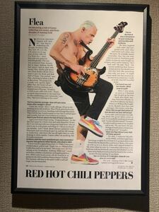 RED HOT CHILI PEPPERS フリー レッチリ A4 ポスター 額付き 送料込