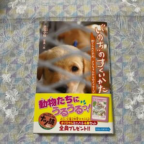 超美品 “いのち”のすくいかた　捨てられた子犬、クウちゃんからのメッセージ 集英社みらい文庫