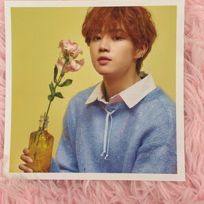 Theboyz bloombloom ソヌ　フォトカード