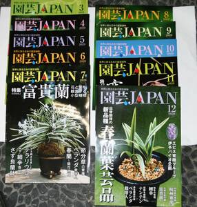 『園芸JAPAN』 21冊セット 富貴蘭 春蘭 寒蘭 中国蘭 ラン 東洋蘭