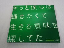 CD＋DVD 2枚組 GReeeeN 刹那 UPCH-89050_画像1