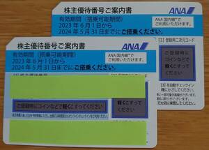 ANA株主優待券（番号案内書）２枚セット(有効期限2024年5月31日) 【ネコポス送料込】