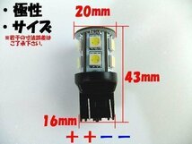 T20 ダブル バック オレンジ ホワイト 発光