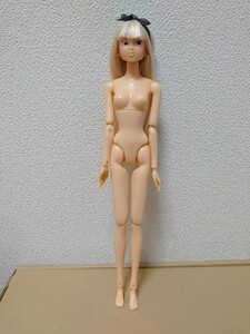 momokodoll 水色ラビリンス ドール本体