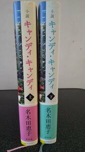 帯付 小説キャンディキャンディ FINAL STORY初版第1刷発行 上下巻セット 名木田恵子