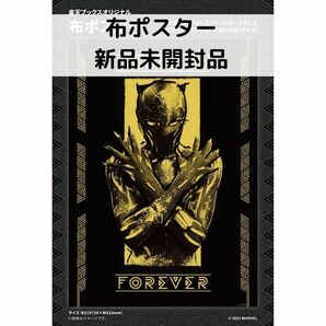 ブラックパンサー/ワカンダフォーエバー オリジナルB2布ポスター