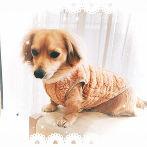 【少再入荷】犬服 ドッグウェア もこもこ ふわふわ ボア ベージュ M