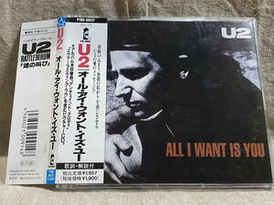 U2 - ALL I WANT IS YOU P19D-10037 CDシングル 国内初版 日本盤 廃盤 レア盤
