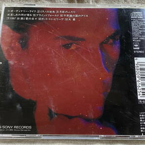 GAZEBO - THE RAINBOW TALES 25DP5182 CSR刻印 国内初版 日本盤 廃盤 レア盤の画像2