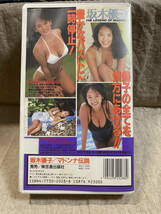 坂木優子 「マドンナ伝説」 VHSビデオ_画像2