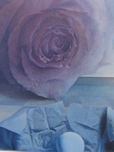塩崎敬子、【記憶の薔薇と海】、希少な画集より、状態良好、新品高級額装付、送料無料、洋画 油彩 日本の画家、arte_画像2