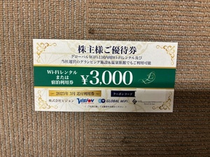 ビジョン　株主優待　3000円券 2024.3末有効期限　取引ナビでクーポンコード通知　発送なし　